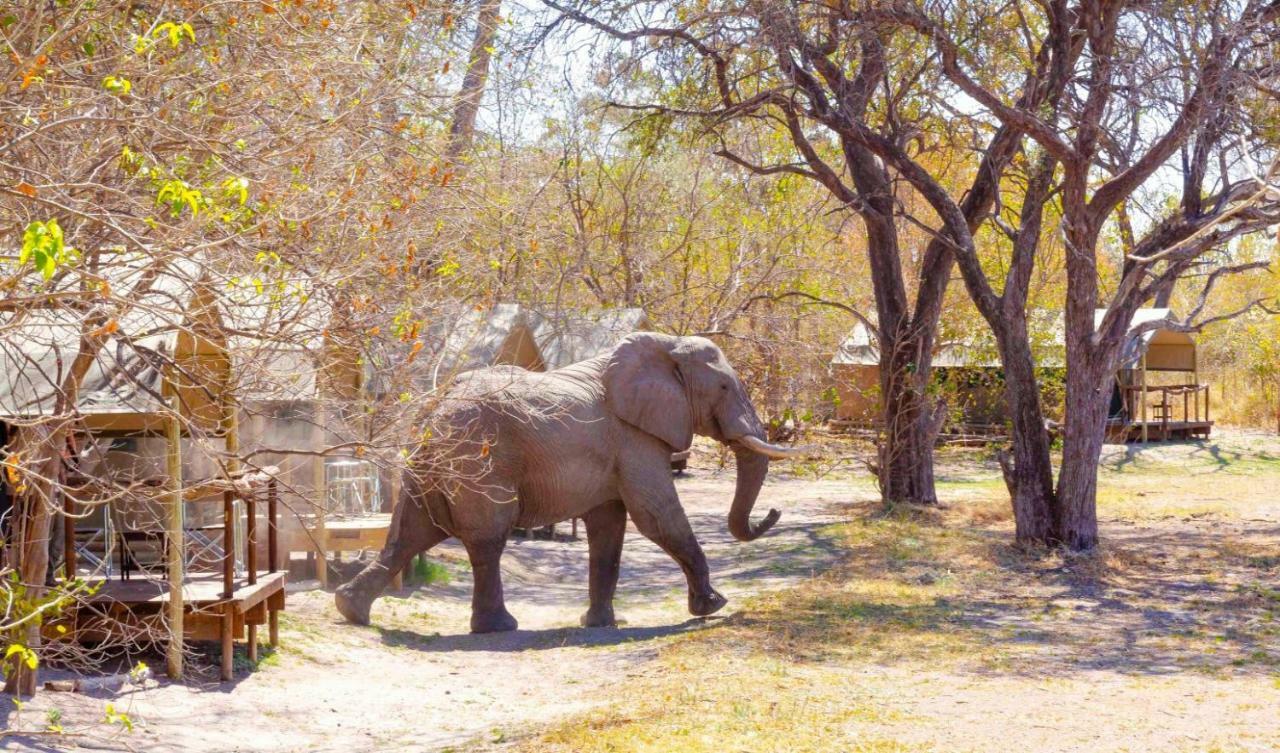 O Bona Moremi Safari Lodge Khwai Exterior foto